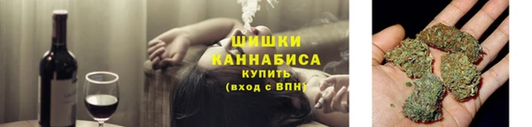 сатива Алзамай